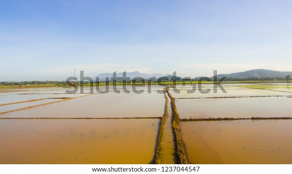 Ariel View Paddy Field Gunung Jerai Stock Photo Edit Now 1237044547