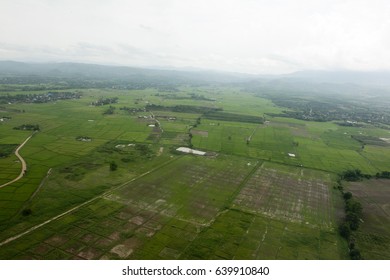 Ariel View Of Rice Field And Mountain,Chiangmai,Thailand