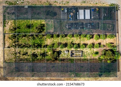 An Ariel View Of The Tropical Fruit Tree Orchard At An Urban Farm In Long Beach On May 6, 2022. 