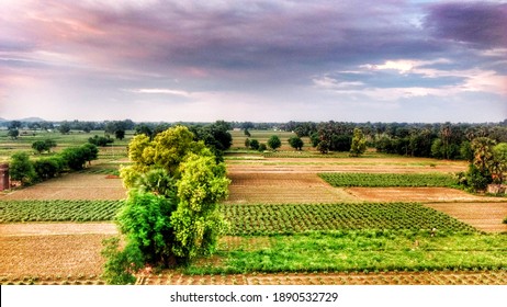 Ariel View Of Vegetable Farm Fields Of Rural India.