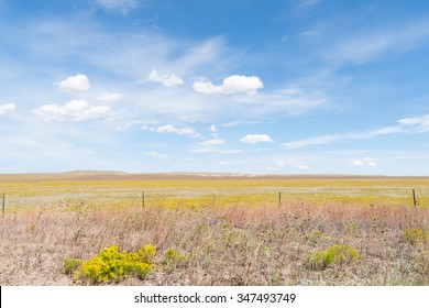 Arizona Countryside On Route 66 Field Yellow Rabbit Brush Flower Blue Sky With White Puffy Clouds Blowing Through.