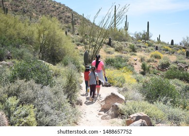 Arizona Desert AZ/ USA 04/07/2019  Family Hiking Arizona Desert With Spring Flowers 