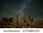 the Arizona desert starry night