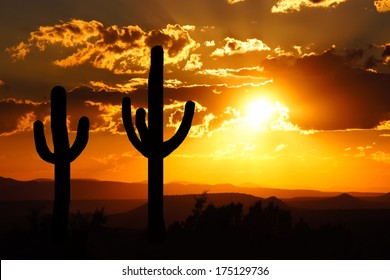 Arizona Desert Sunset With Giant Saguaro Silhouette