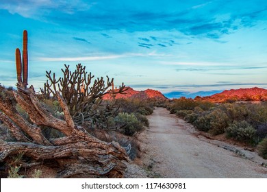 Arizona Desert Sunset Road To No Where In North Scottsdale With Mountains And Saguaro Cactus. 