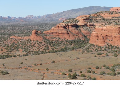 Arizona, Desert, Vegetation, Rock, Aloe