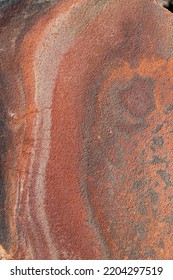 Arizona, Desert, Vegetation, Rock, Aloe