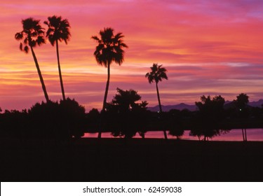 Arizona Golf Course At Last Rays Of Sunset.