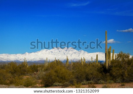 Similar – Image, Stock Photo Snow-capped Palon mountain peak in Garniga Terme, Trentino, Italy