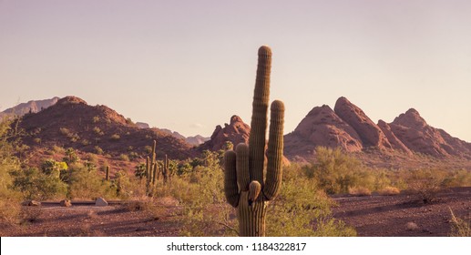  Arizona Papago Park peaking through to Camelback Mountain, Phoenix, Scottsdale Arizona area.