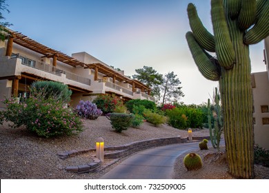 arizona resort with cactus