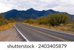 An Arizona road with Madera Canyon