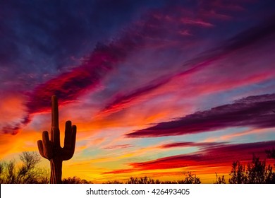 Paisagem do pôr do sol do deserto do Arizona