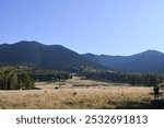 Arizona Snowbowl in the fall