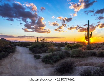 Arizona Sunset Along Hiking Trail At Browns Ranch In Scottsdale, AZ