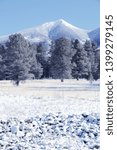 Arizona, United States. Coconino National Forest with mountain range of San Francisco Peaks. Mount Humphreys is the tallest point of Arizona.