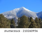 Arizona, United States. Coconino National Forest with mountain range of San Francisco Peaks. Mount Humphreys is the tallest point of Arizona.