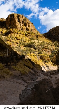 Arizona's Box Canyon's yellow mountains along the dirt road with water streams trickling down, near the town of Florence, in Pinal County, with desert plants in view, in February of 2024.