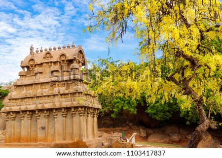 Arjuna's Penance ( Complex ) a large rock relief carving in mahabalipuram, Tamil Nadu, India