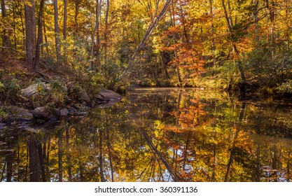 Arkansas Fall Landscape, Petit Jean State Park.