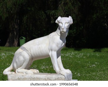 Arkhangelskoye, Russia - June 13, 2021: The Sculpture Of A Sitting Dog In A Collar . The Marble Sculpture By Italian Masters In The Park Of The Arkhangelskoye Palace, The Former Estate Of Prince Yusup