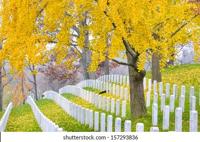 Arlington National Cemetery near to Washington DC, in Autumn 