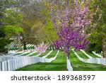 Arlington National Cemetery in Spring - Washington D.C. United States of America