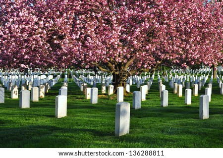 Arlington National Cemetery, Washington DC, USA