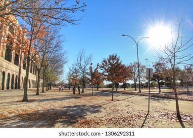 Arlington, Texas, USA-03 January 2017：Landscape Of Arlington In Winter With Blue Sky On A Sunny Day. Views From Globe Life Park In Arlington, Texas.