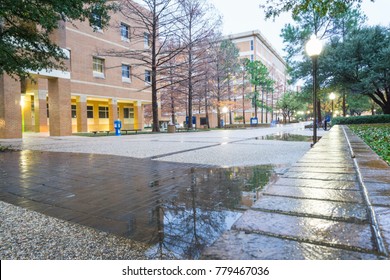 Arlington, USA - December 19, 2017: The University Of Texas At Arlington After The Rain, Texas, USA.