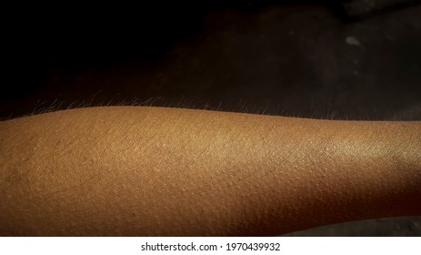 Arm Hair Of Human Beings. It Reflects The Light And Shadow.
