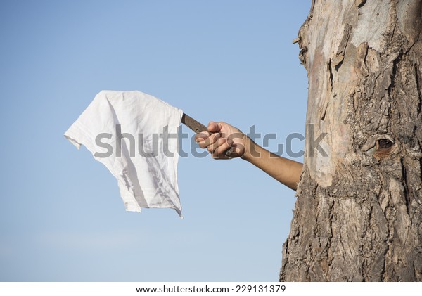 Arm and\
hand of person hiding behind tree holding white flag, cloth or\
handkerchief as sign for peace, resignation and negotiations, with\
blue sky as outdoor background and copy\
space.