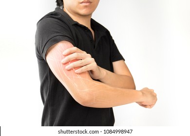 Arm Muscle Pain