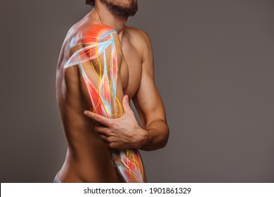 Arm nerve pain, man holding painful zone injured point, human body anatomy - Shutterstock ID 1901861329