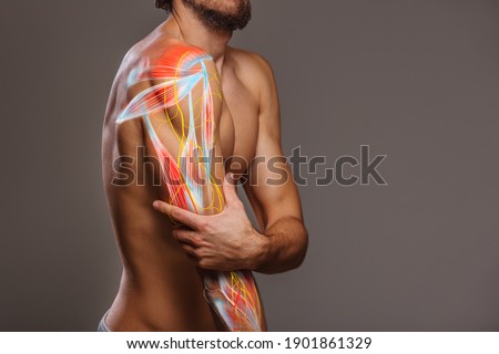 Arm nerve pain, man holding painful zone injured point, human body anatomy