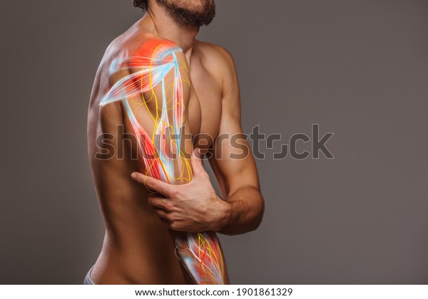 Arm nerve pain, man holding painful zone injured\
point, human body anatomy