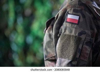 13,493 Polish soldiers Images, Stock Photos & Vectors | Shutterstock