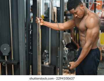 Arm strength and power: A young shirtless muscular man exercising in the gym. - Shutterstock ID 2294100637