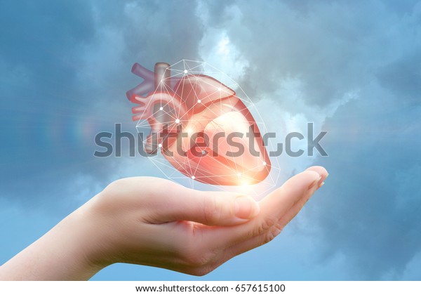 Arm supports the\
heart concept design .