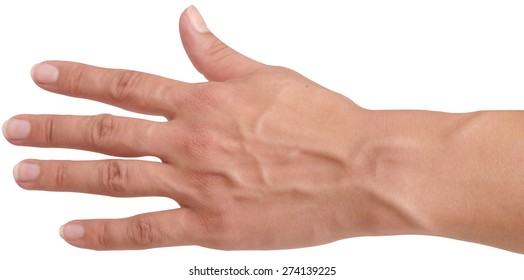 Arm With Visible Veins