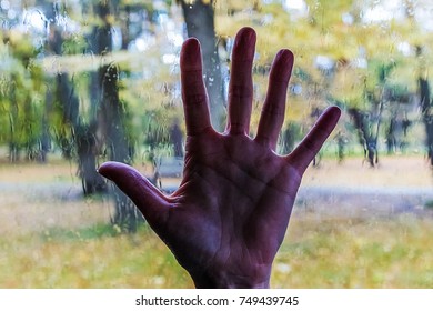 arm wet window