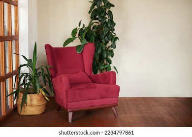 Armchair of the color of the year viva magenta in the interior with ficus and a palm tree in a basket. Mockup with copy space. - Shutterstock ID 2234797861