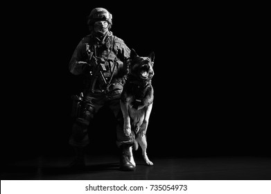 rommel Flikkeren Paard Swat dog Images, Stock Photos & Vectors | Shutterstock