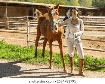 Armenian girl, owner of horse, walks pet outdoor in paddock. Hoofed animal and groom girl are standing near log fence on paddock. Sunny day at hippodrome racetrack - Powered by Shutterstock