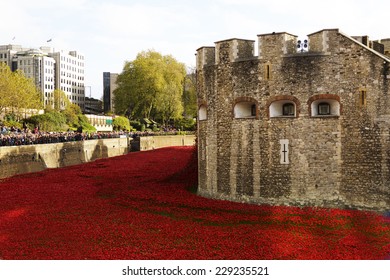 Armistice Day 11th November 2014 - Tower Of London Poppies - London, UK