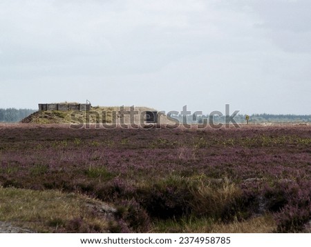 Army base, training and military target in the countryside with grass, vegetation and a blue sky. War, space and horizon on an empty warzone or battlefield during conflict in a fight for freedom Zdjęcia stock © 