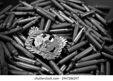 Army Military Warrant Officer Sign And Ammo