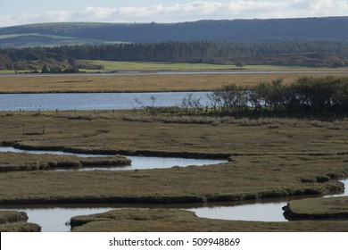 Arne Nature Reserve