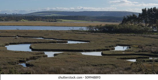 Arne Nature Reserve