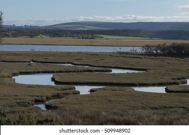 Arne Nature Reserve